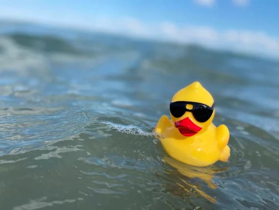 Rubber Duck Debugging