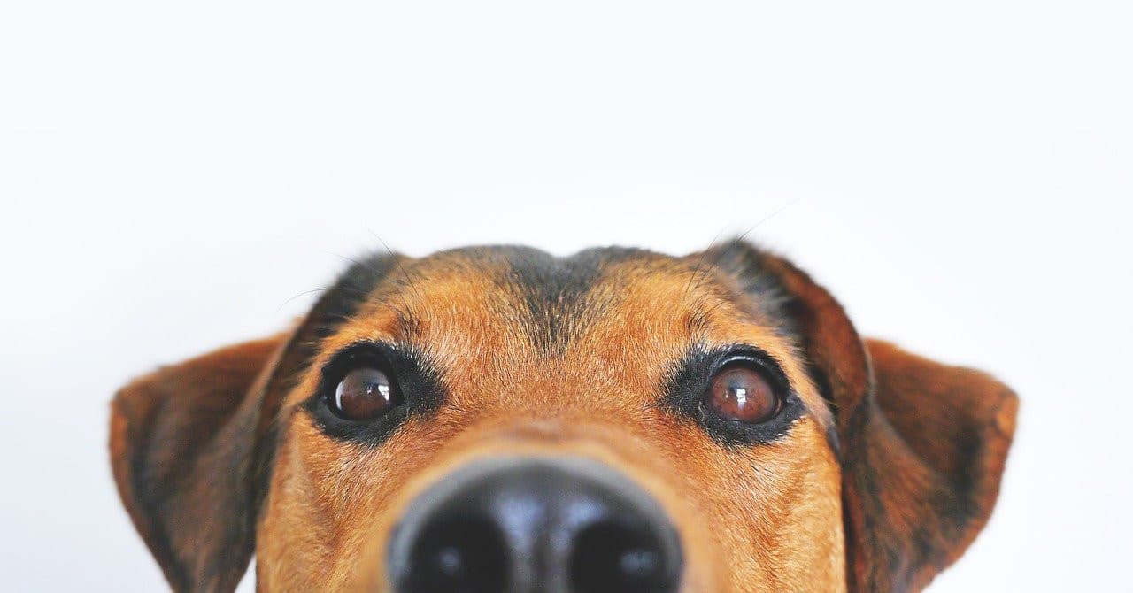 Mastering Parameter Sniffing in SQL Server